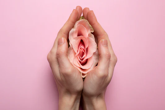 Mãos segurando uma rosa na mão, simulando a região íntima feminina. 
